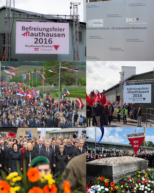 #BUSINESS #RYAN #REGIE #CONTENT #SINCE2015 #MAUTHAUSEN